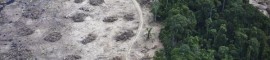 Se a perda de vegetação nativa atingir 40% da Amazônia, em 2050, a capacidade de produção de energia em Belo Monte cairá para 25% (© Daniel Beltrá / Greenpeace).
