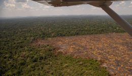 One Year After the “Fire Day” in the Amazon - Bacuri FarmUm Ano Após o “Dia da Fogo na Amazônia” - Fazenda Bacuri