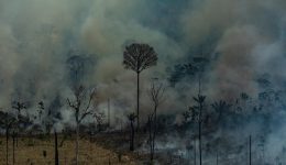 Fogo-em-Novo-Progresso-no-Pará-Foto-Victor-Moriyama-Greenpeace