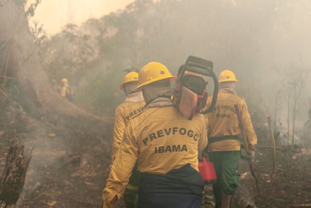 Congresso aprova uso de aviões agrícolas no combate a incêndios florestais