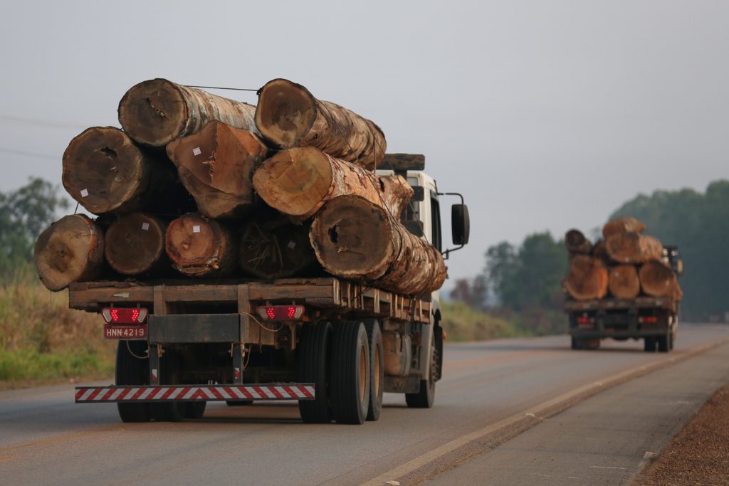 Falta de transparência impede análise sobre legalidade da extração de madeira na Amazônia