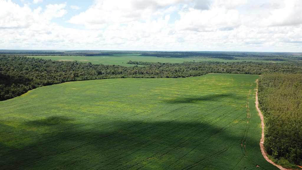 Cargill compra soja de fazenda que desmatou na Amazônia e descumpre pacto do setor