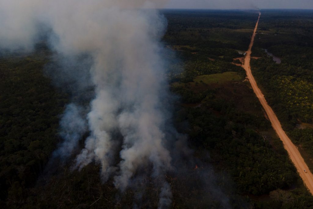 Governo inicia pavimentação da BR-319 na Amazônia e devastação já é vista na região