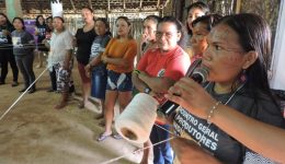 Rede de produtores indígenas expande laços e experiências com a economia da floresta no Rio Negro