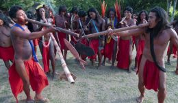 indígenas Wajãpi Amapá foto funai