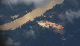 Rios afetados pelo garimpo ilegal em Roraima