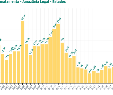 Taxa oficial de desmatamento na Amazônia Legal tem queda de 22,3% em 2023, segundo estimativa do Prodes